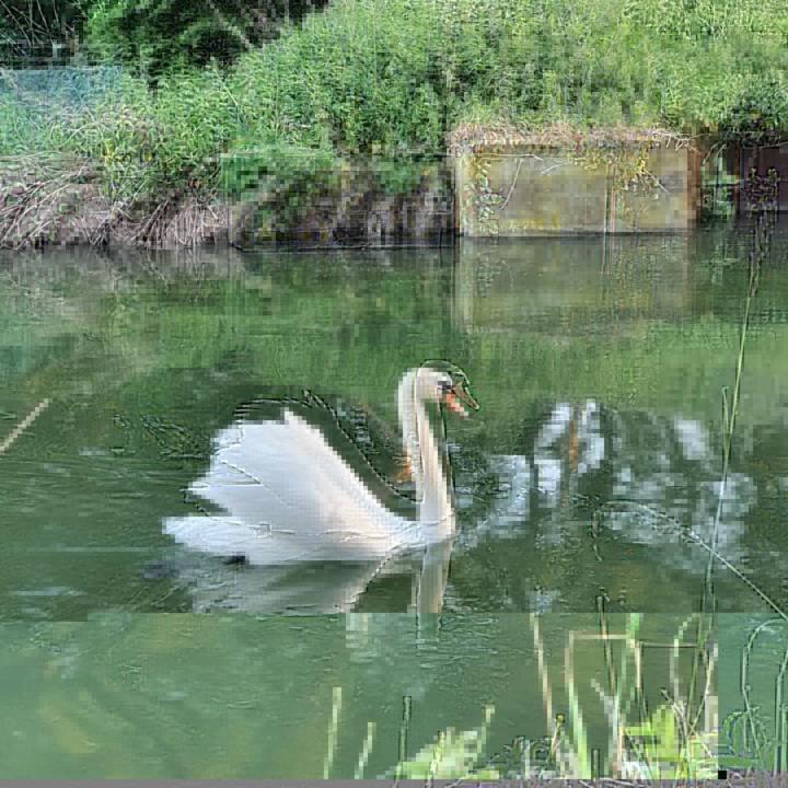 Bed and Breakfast De Vliegende Vlinder Nederweert Екстер'єр фото