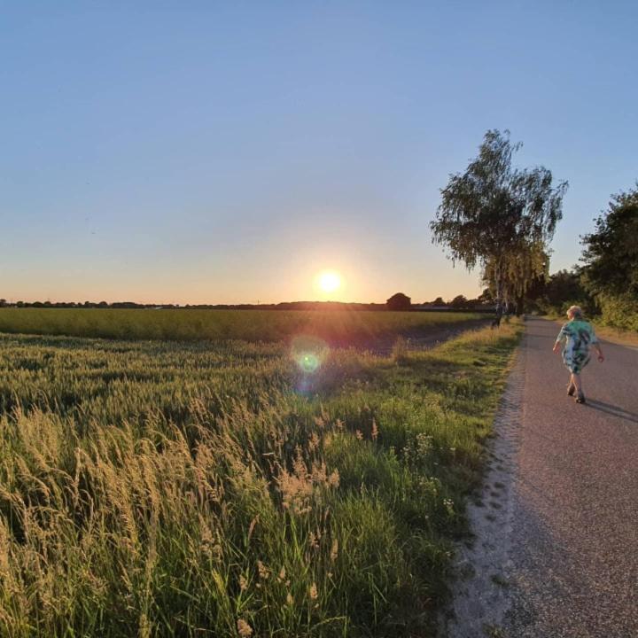 Bed and Breakfast De Vliegende Vlinder Nederweert Екстер'єр фото
