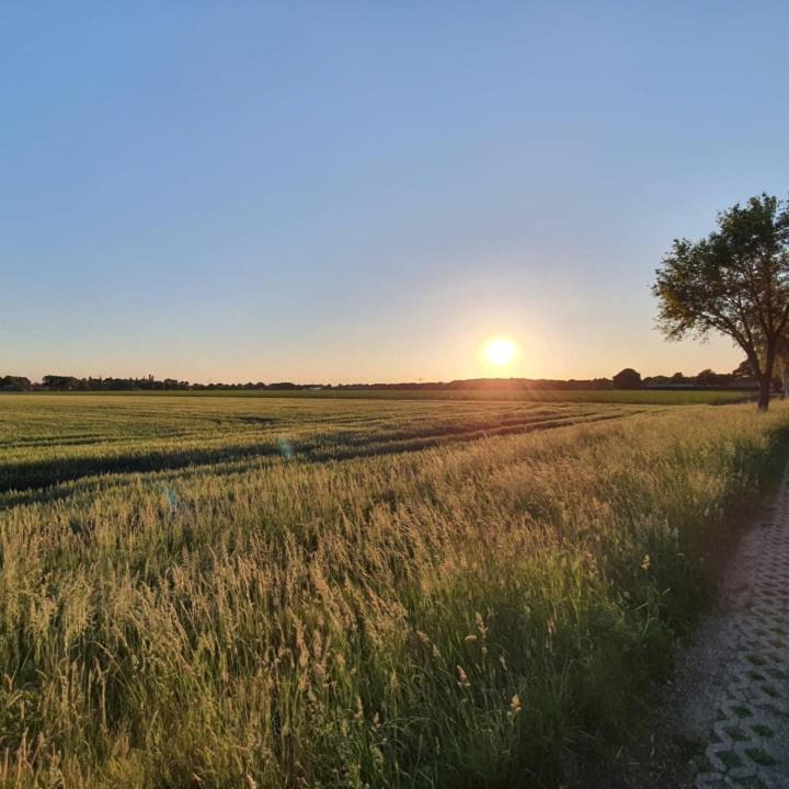 Bed and Breakfast De Vliegende Vlinder Nederweert Екстер'єр фото