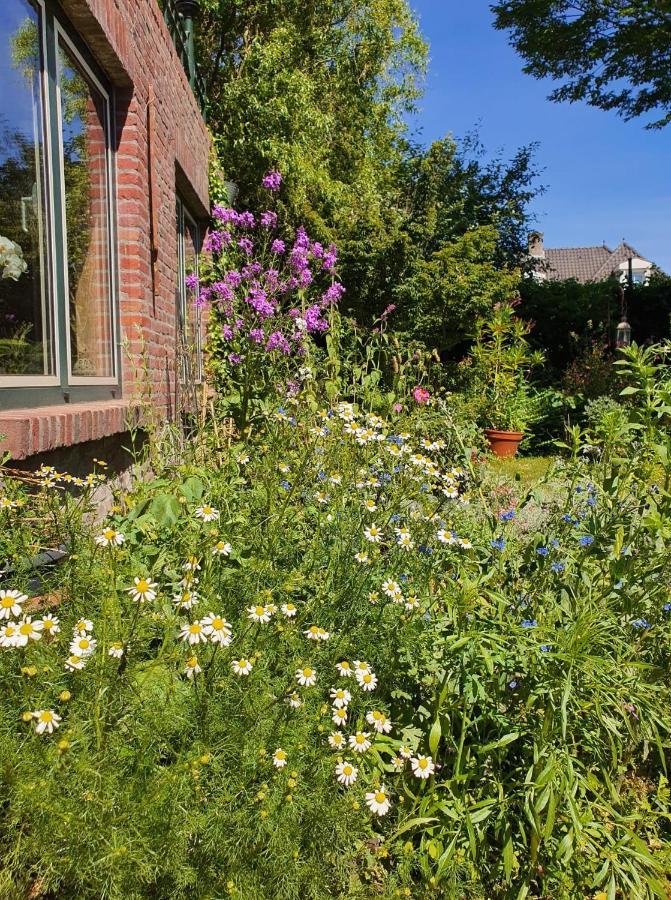 Bed and Breakfast De Vliegende Vlinder Nederweert Екстер'єр фото